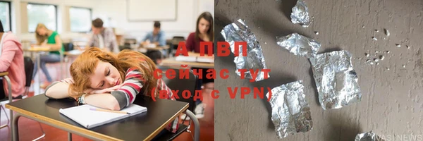 индика Богородицк