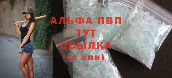 индика Богородицк