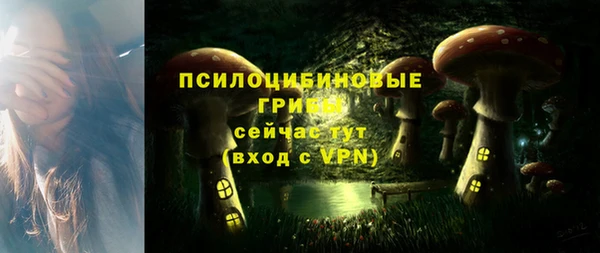 таблы Богданович