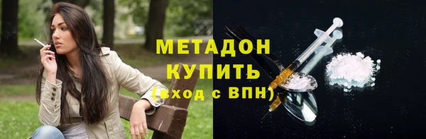 индика Богородицк