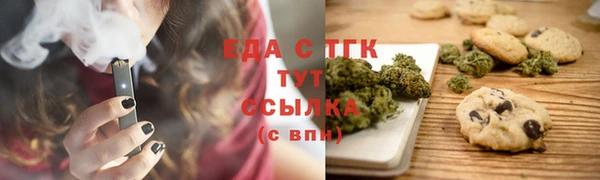 индика Богородицк