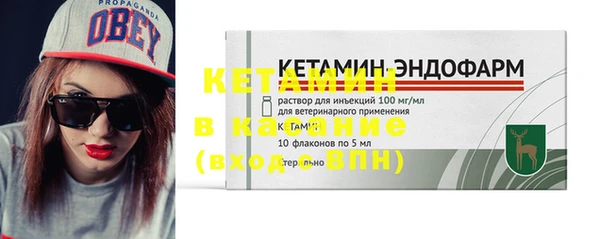 индика Богородицк