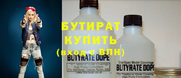 индика Богородицк