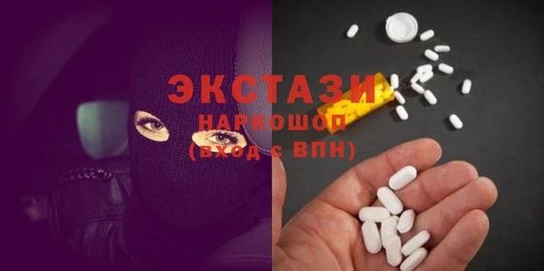 индика Богородицк