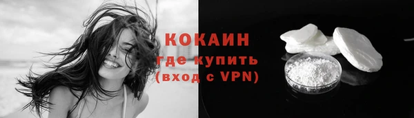 индика Богородицк