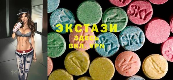 индика Богородицк