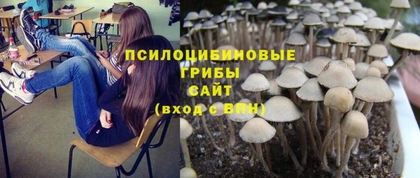 индика Богородицк
