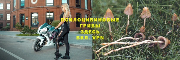 индика Богородицк