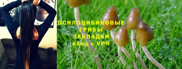 таблы Богданович