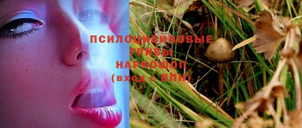 индика Богородицк