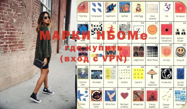 индика Богородицк