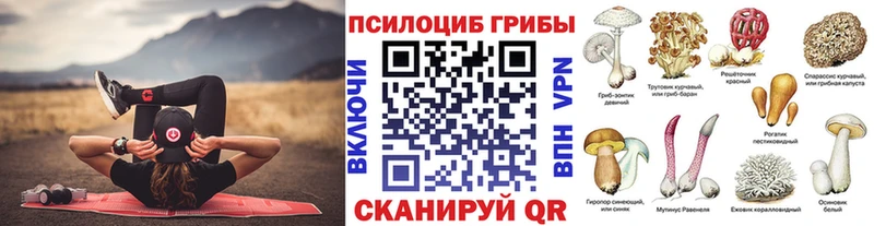 Псилоцибиновые грибы прущие грибы  Купить  Мурино 